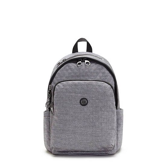 Kipling Delia Classic Ryggsekk Sølv | NO 1660WN